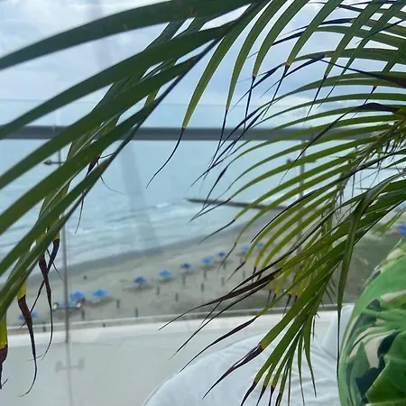 Apartment Frente Al Mar+ Office -7b
