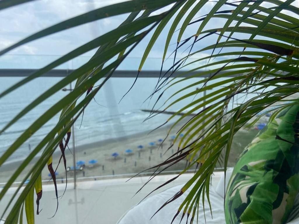 Apartamento Frente Al Mar Office 7b Cartagena
