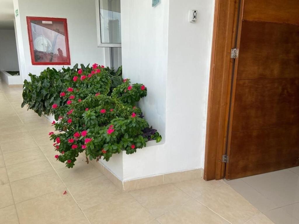 Frente Al Mar Office 7b Apartamento